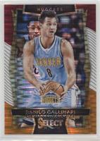 Concourse - Danilo Gallinari