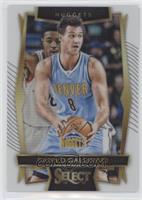 Concourse - Danilo Gallinari #/149