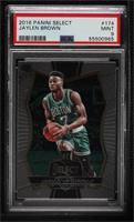 Premier Level - Jaylen Brown [PSA 9 MINT]