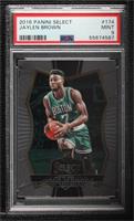 Premier Level - Jaylen Brown [PSA 9 MINT]