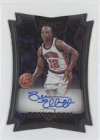 Sean Elliott #/99