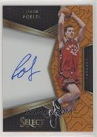 Jakob Poeltl #/60