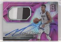 Rookie Jersey Autographs - Skal Labissiere #/49