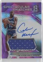 Cedric Maxwell #/49