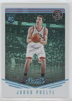 Jakob Poeltl #/15