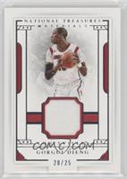 Materials - Gorgui Dieng #/25