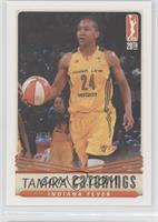 Tamika Catchings #/500