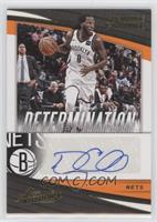 DeMarre Carroll #/25