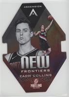 Zach Collins