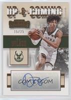 D.J. Wilson #/25