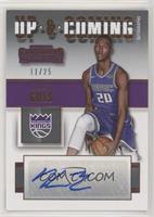 Harry Giles #/25