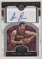 Ante Zizic #/49