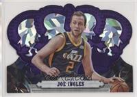 Joe Ingles #/25