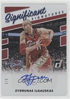 Zydrunas Ilgauskas #/5