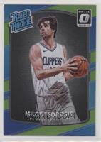 Rated Rookie - Milos Teodosic #/175