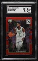 Jaylen Brown [SGC 9.5 Mint+] #/99