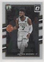 Jaylen Brown