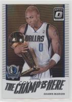 Shawn Marion