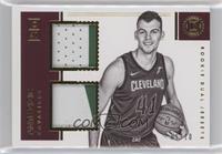 Ante Zizic #/10