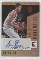 Ante Zizic #/49