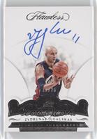 Zydrunas Ilgauskas #/25