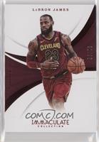 LeBron James #/35