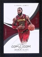 LeBron James #/75