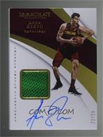 Ante Zizic #/25