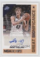 Andrei Kirilenko