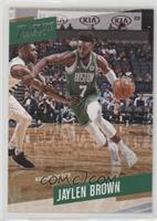 Jaylen Brown