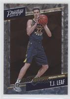 TJ Leaf