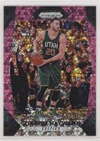 Gordon Hayward #/50