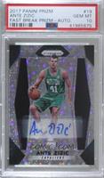 Ante Zizic [PSA 10 GEM MT]