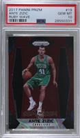 Ante Zizic [PSA 10 GEM MT]