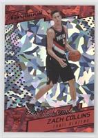 Rookies - Zach Collins