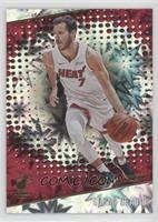 Goran Dragic