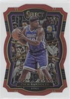 Premier Level - Zach Randolph #/135