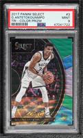 Concourse - Giannis Antetokounmpo [PSA 9 MINT]