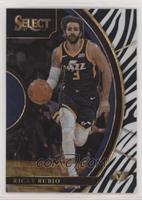 Concourse - Ricky Rubio