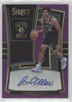 Jarrett Allen #/99