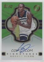 Gorgui Dieng #/65