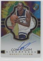 Gorgui Dieng #/25