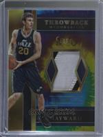 Gordon Hayward #/25