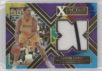 Brook Lopez #/25