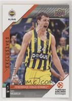 Jan Vesely #/100