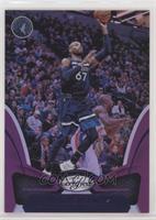 Taj Gibson #/49