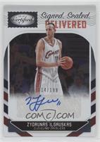 Zydrunas Ilgauskas #/199