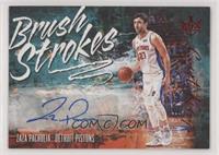 Zaza Pachulia #/99