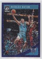 Nicolas Batum #/95