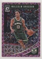 Malcolm Brogdon #/79